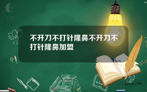 不开刀不打针隆鼻不开刀不打针隆鼻加盟
