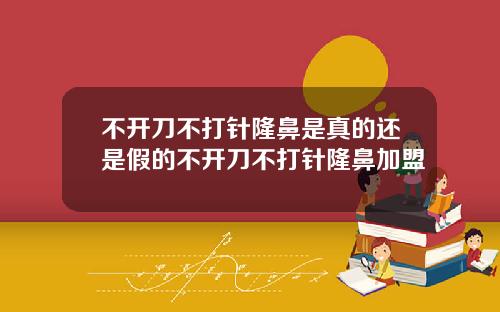 不开刀不打针隆鼻是真的还是假的不开刀不打针隆鼻加盟