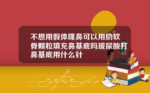 不想用假体隆鼻可以用肋软骨颗粒填充鼻基底吗玻尿酸打鼻基底用什么针