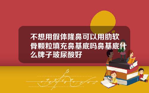 不想用假体隆鼻可以用肋软骨颗粒填充鼻基底吗鼻基底什么牌子玻尿酸好