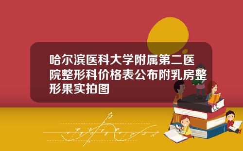 哈尔滨医科大学附属第二医院整形科价格表公布附乳房整形果实拍图
