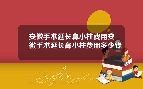 安徽手术延长鼻小柱费用安徽手术延长鼻小柱费用多少钱