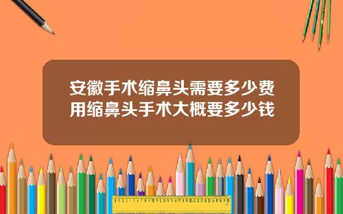 安徽手术缩鼻头需要多少费用缩鼻头手术大概要多少钱