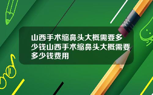山西手术缩鼻头大概需要多少钱山西手术缩鼻头大概需要多少钱费用