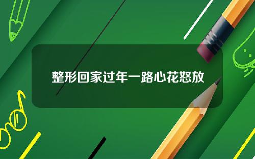 整形回家过年一路心花怒放