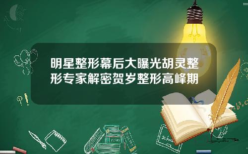 明星整形幕后大曝光胡灵整形专家解密贺岁整形高峰期