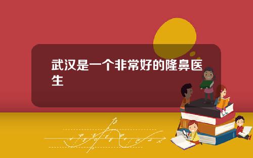 武汉是一个非常好的隆鼻医生