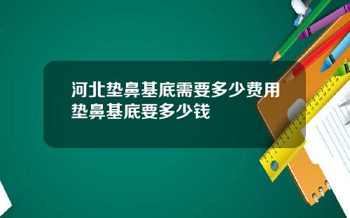 河北垫鼻基底需要多少费用垫鼻基底要多少钱