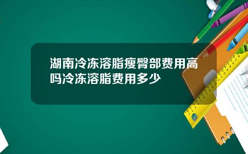 湖南冷冻溶脂瘦臀部费用高吗冷冻溶脂费用多少