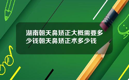 湖南朝天鼻矫正大概需要多少钱朝天鼻矫正术多少钱