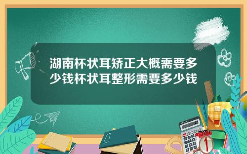 湖南杯状耳矫正大概需要多少钱杯状耳整形需要多少钱