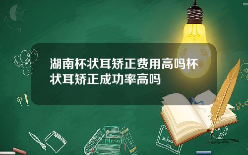 湖南杯状耳矫正费用高吗杯状耳矫正成功率高吗
