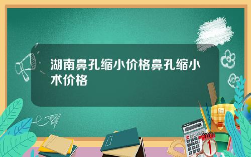 湖南鼻孔缩小价格鼻孔缩小术价格