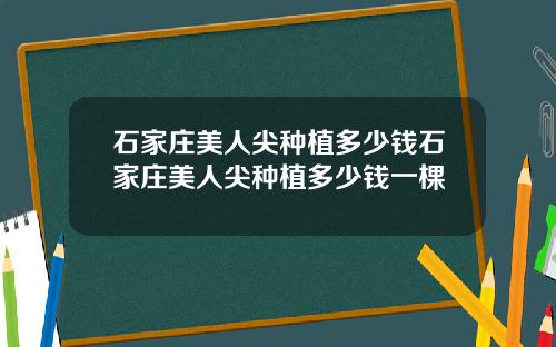石家庄美人尖种植多少钱石家庄美人尖种植多少钱一棵