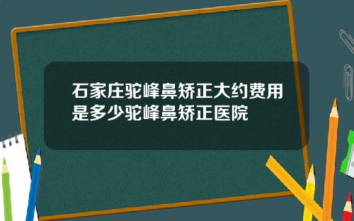石家庄驼峰鼻矫正大约费用是多少驼峰鼻矫正医院