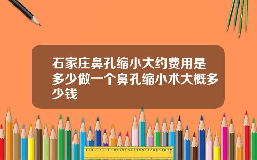 石家庄鼻孔缩小大约费用是多少做一个鼻孔缩小术大概多少钱