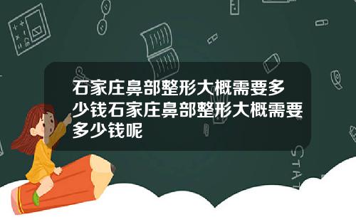 石家庄鼻部整形大概需要多少钱石家庄鼻部整形大概需要多少钱呢