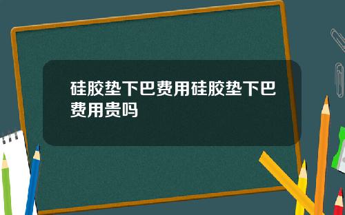 硅胶垫下巴费用硅胶垫下巴费用贵吗