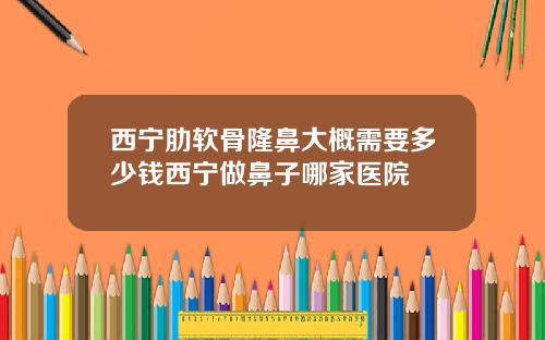 西宁肋软骨隆鼻大概需要多少钱西宁做鼻子哪家医院