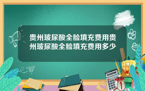 贵州玻尿酸全脸填充费用贵州玻尿酸全脸填充费用多少