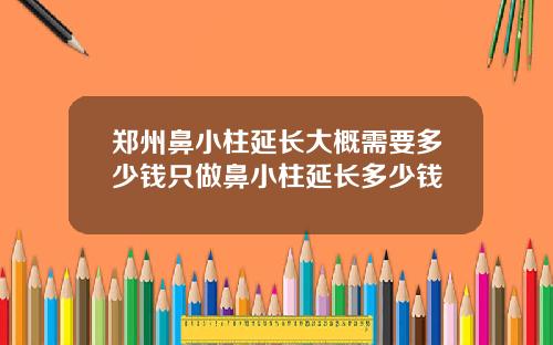郑州鼻小柱延长大概需要多少钱只做鼻小柱延长多少钱