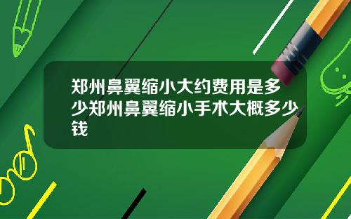 郑州鼻翼缩小大约费用是多少郑州鼻翼缩小手术大概多少钱