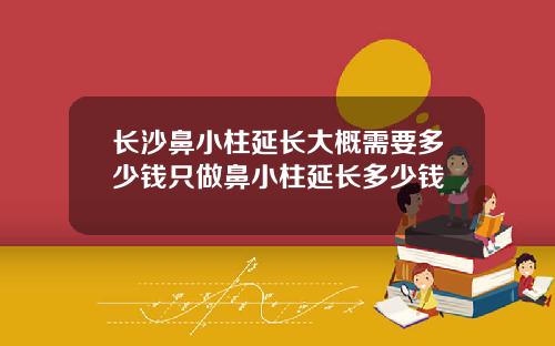 长沙鼻小柱延长大概需要多少钱只做鼻小柱延长多少钱