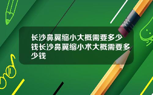 长沙鼻翼缩小大概需要多少钱长沙鼻翼缩小术大概需要多少钱