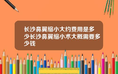 长沙鼻翼缩小大约费用是多少长沙鼻翼缩小术大概需要多少钱