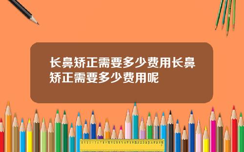 长鼻矫正需要多少费用长鼻矫正需要多少费用呢